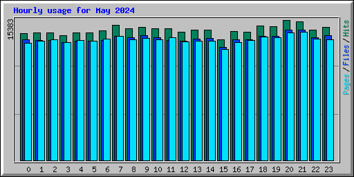 Hourly usage for May 2024