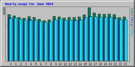 Hourly usage for June 2024